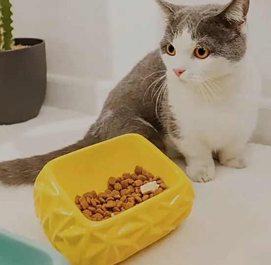 Bacia levantada inclinada cerâmica do gato, bacia resistente do alimento para animais de estimação para gatos internos, bacia de alimentação livre do animal de estimação da tensão